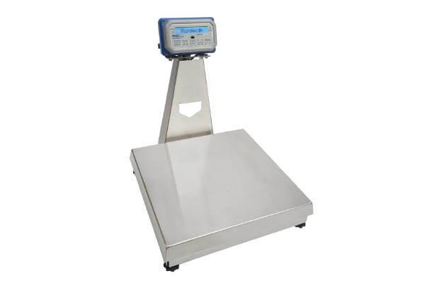 Bench Scales